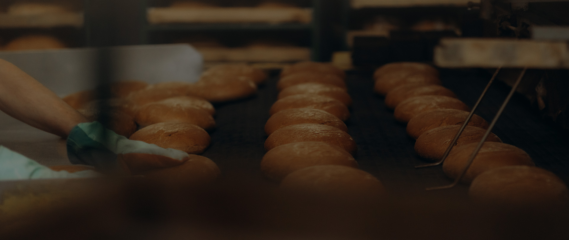 Zhejiang Xiafeng Precision Die Casting Co., Ltd.